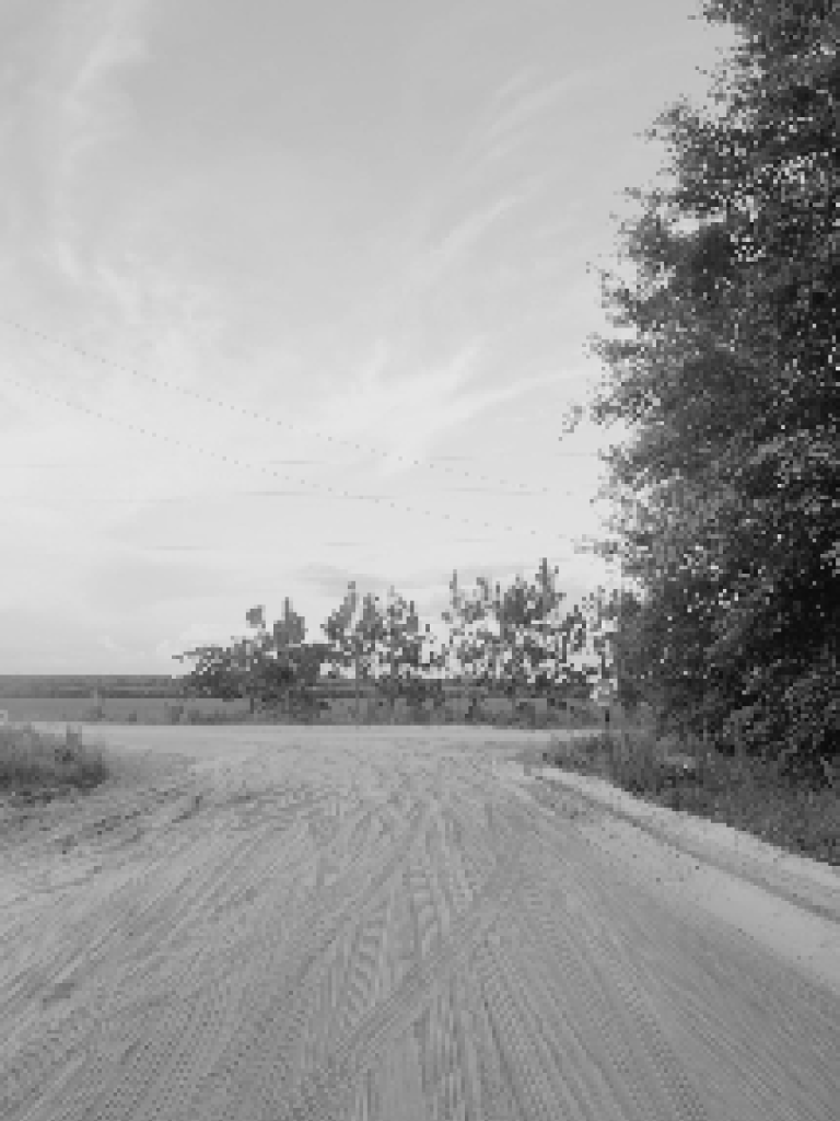 Sangaia road